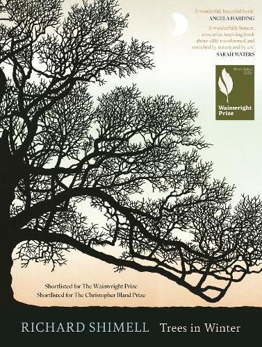 Cover image for Trees in Winter