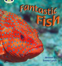 Cover image for Bug Club Phonics Non Fiction Year 1 Phase 4 Set 12 Fantastic Fish