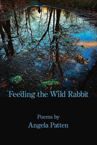 Cover image for Feeding the Wild Rabbit