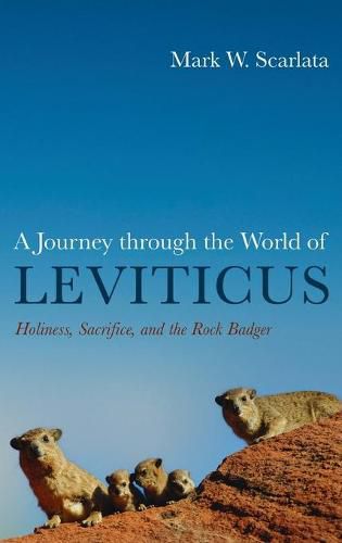 Cover image for A Journey through the World of Leviticus