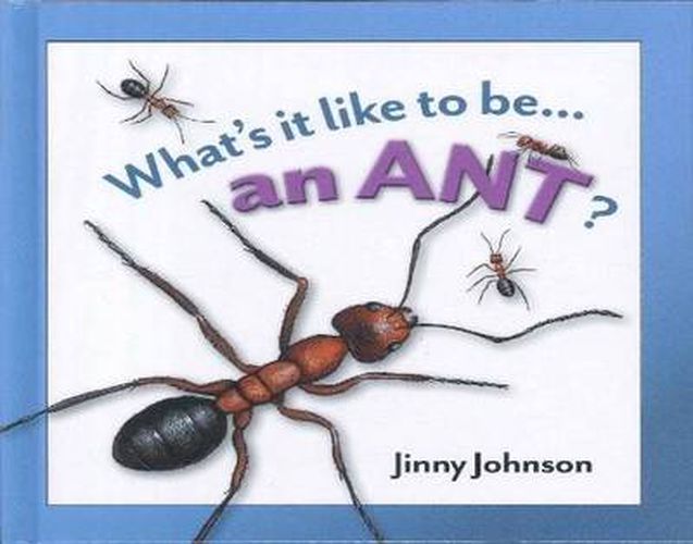 An Ant?