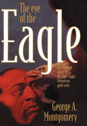 Cover image for The Eye of the Eagle