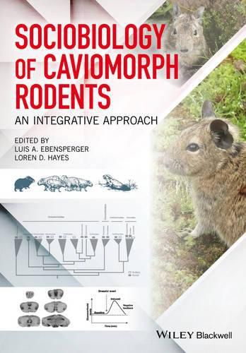 Cover image for Sociobiology of Caviomorph Rodents: An Integrative Approach