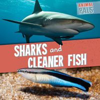 Cover image for Sharks and Cleaner Fish