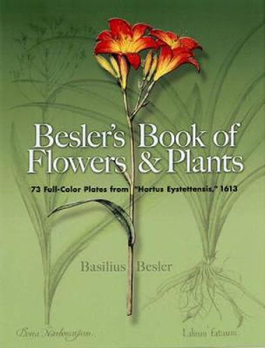 Cover image for Besler's Book of Flowers and Plants: 73 Full-Color Plates from  Hortus Eystettensis , 1613