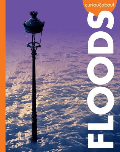 Cover image for Curious about Floods