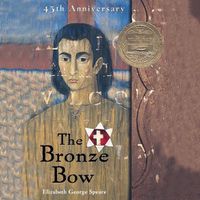 Cover image for The Bronze Bow