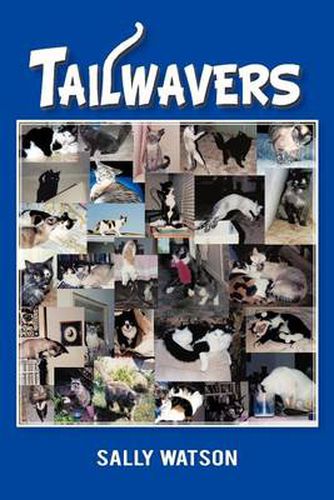 Cover image for Tailwavers