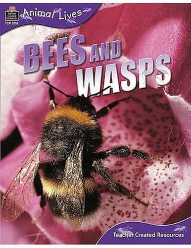 Cover image for Animal Lives: Bees and Wasps