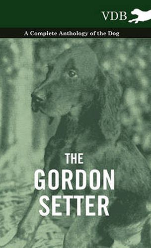 Cover image for The Gordon Setter - A Complete Anthology of the Dog