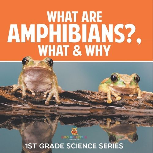 Cover image for What Are Amphibians?, What & Why