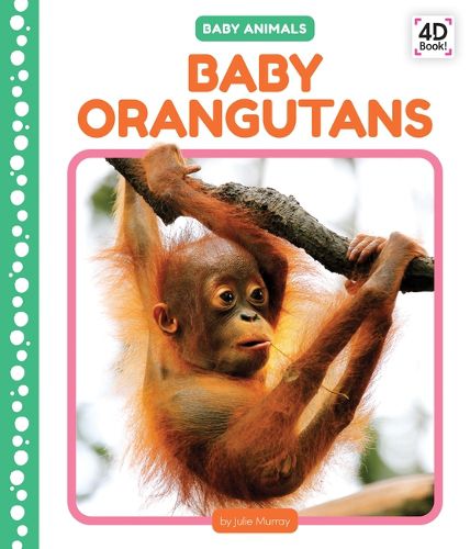 Cover image for Baby Orangutans