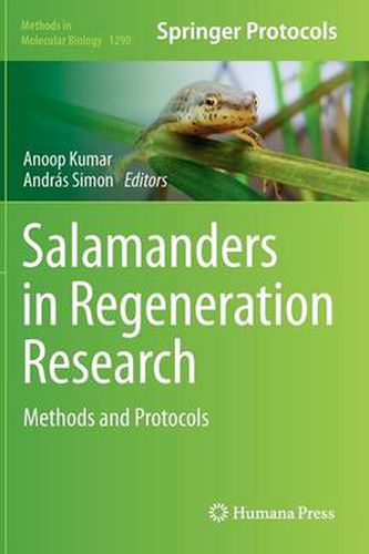 Cover image for Salamanders in Regeneration Research: Methods and Protocols