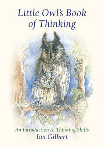 Cover image for Little Owl's Book of Thinking: An Introduction to Thinking Skills