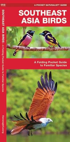 Cover image for Southeast Asia Birds: A Folding Pocket Guide to Familiar Species