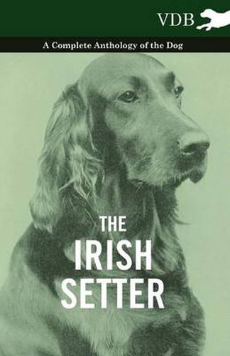 Cover image for The Irish Setter - A Complete Anthology of the Dog