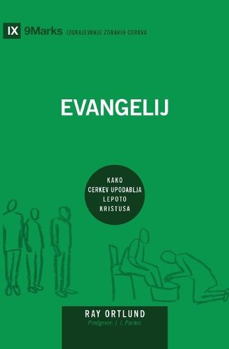Cover image for The Gospel / Evangelij