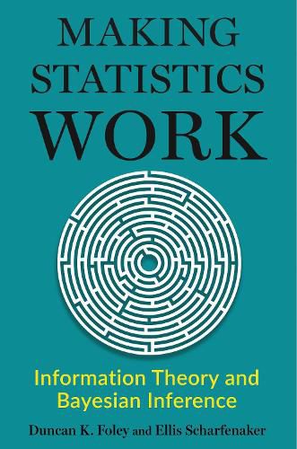 Cover image for Making Statistics Work