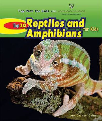 Top 10 Reptiles and Amphibians for Kids