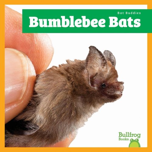 Cover image for Bumblebee Bats