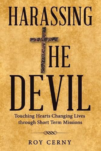 Cover image for Harassing the Devil