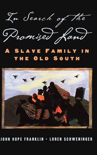 Cover image for In Search of the Promised Land