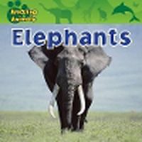 Cover image for Elephants