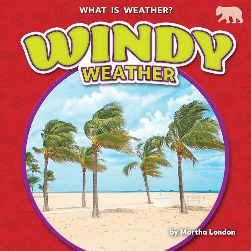Cover image for Windy Weather