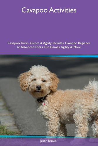 Cavapoo Activities Cavapoo Tricks, Games & Agility Includes