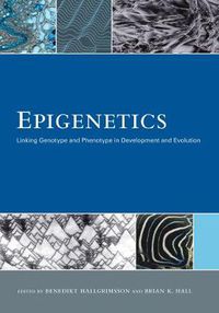 Cover image for Epigenetics: Linking Genotype and Phenotype in Development and Evolution