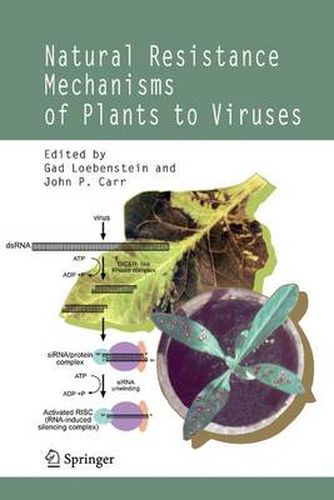 Cover image for Natural Resistance Mechanisms of Plants to Viruses