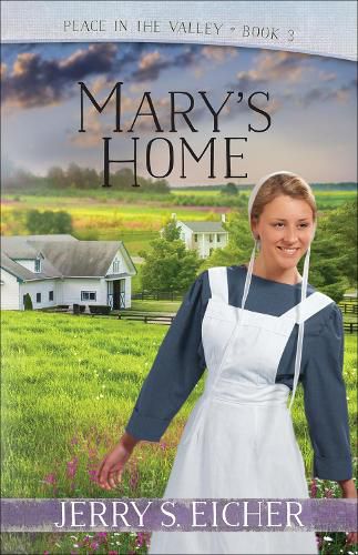 Cover image for Mary's Home