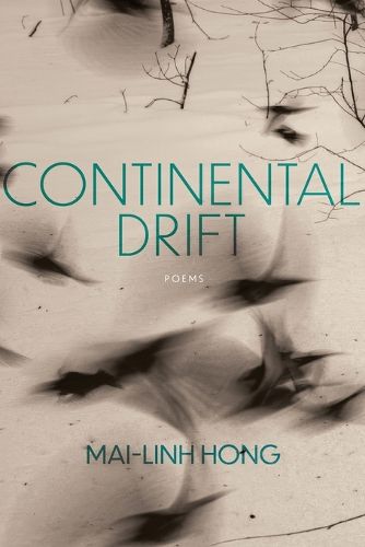 Cover image for Continental Drift