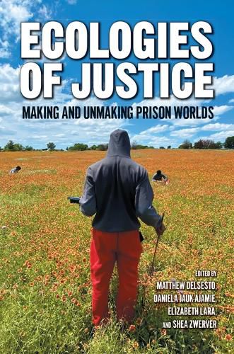 Cover image for Ecologies of Justice
