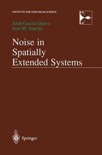 Cover image for Noise in Spatially Extended Systems