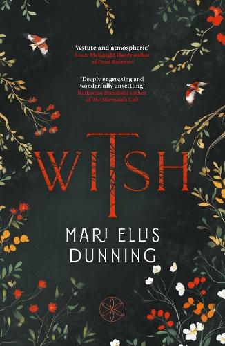 Cover image for Witsh