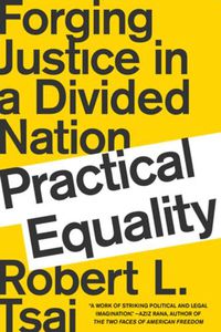 Cover image for Practical Equality: Forging Justice in a Divided Nation