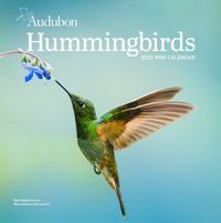 Cover image for Audubon Hummingbirds Mini Wall Calendar 2025