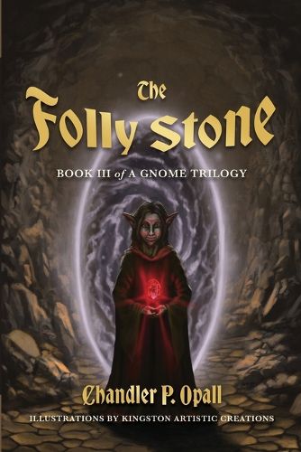 Cover image for The Folly Stone