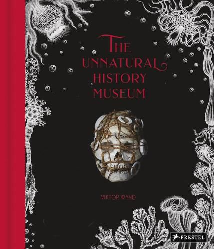 Cover image for The Unnatural History Museum