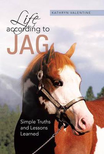 Cover image for Life According to Jag