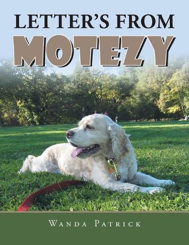 Cover image for Letter's from Motezy