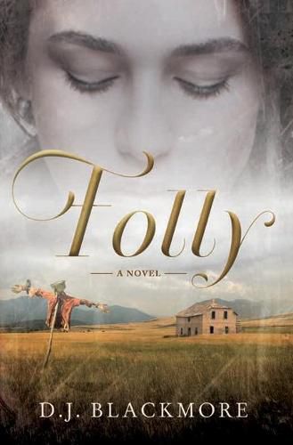Cover image for Folly
