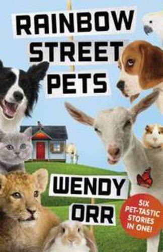 Rainbow Street Pets