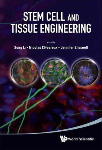 Cover image for Stem Cell And Tissue Engineering