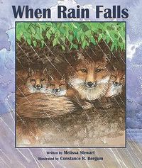 Cover image for When Rain Falls