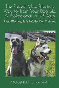 Cover image for The Fastest Most Effective Way to Train Your Dog Like A Professional in 28 Days