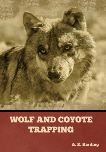 Cover image for Wolf and Coyote Trapping