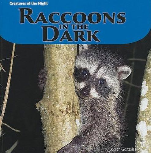 Cover image for Raccoons in the Dark