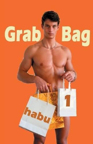 Cover image for Grab Bag 1: Gay Erotica Unthemed Anthology